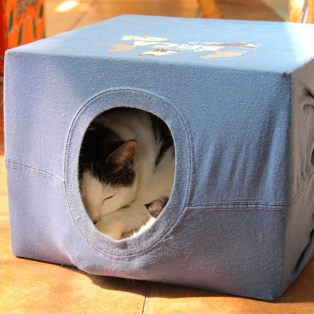 How to Make a Cat Toy Box: Easy DIY Ideas for Happy Cats