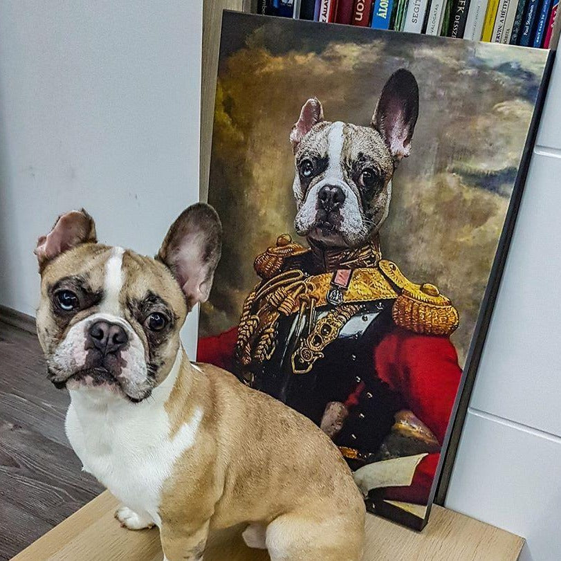 The Chicago Fan Custom Pet Portrait – Noble Pawtrait