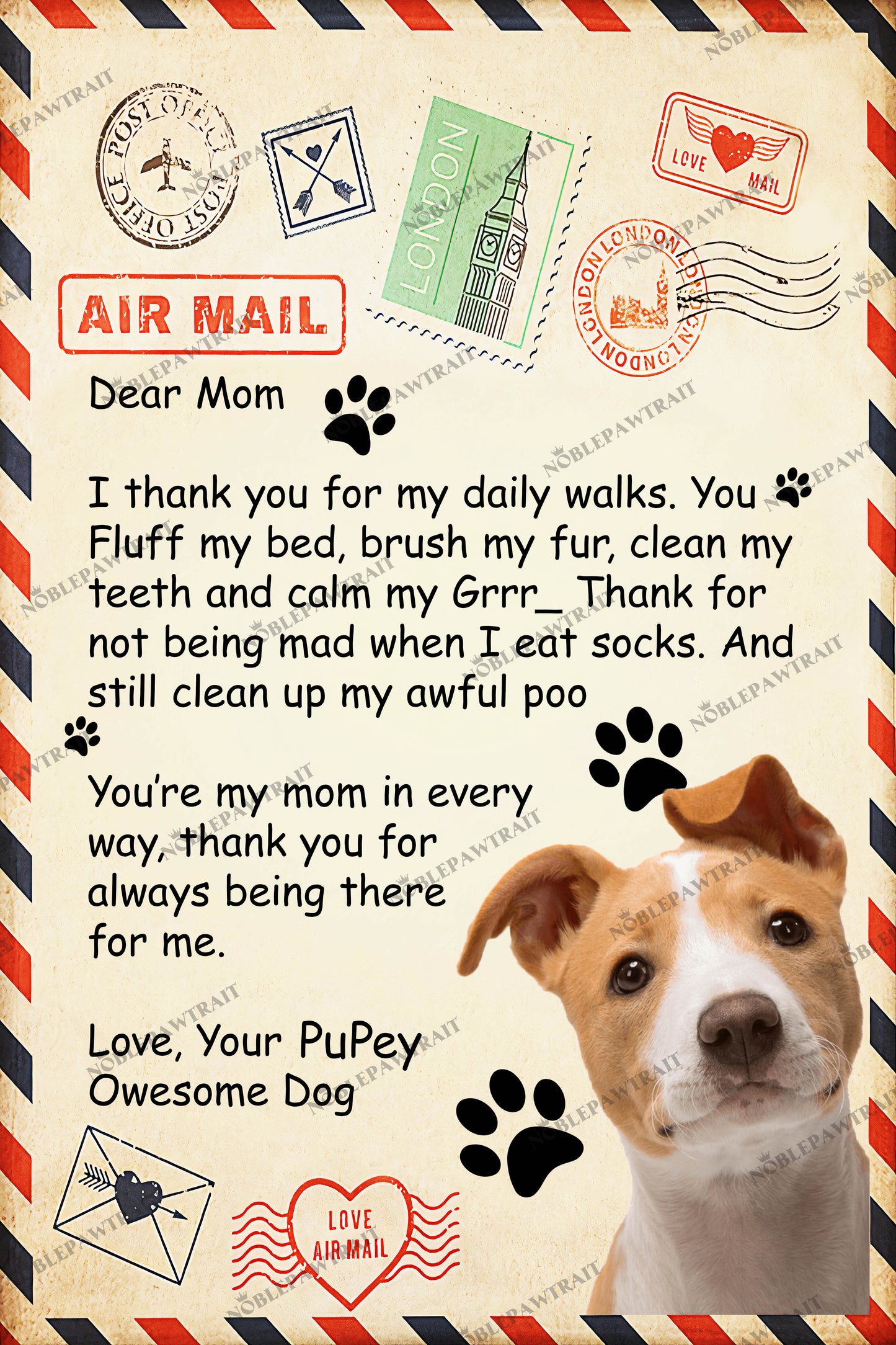 Paw Mail For Mom Custom Pet Fleece Blanket - Noble Pawtrait