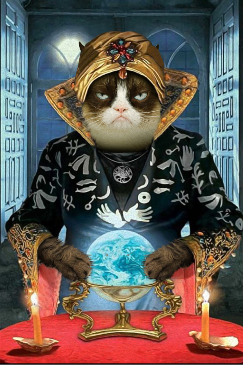 The Mystery Custom Pet Portrait - Noble Pawtrait