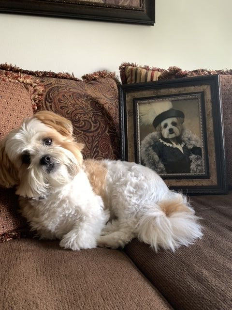 The Foxy Lady Custom Pet Portrait Digital Download - Noble Pawtrait