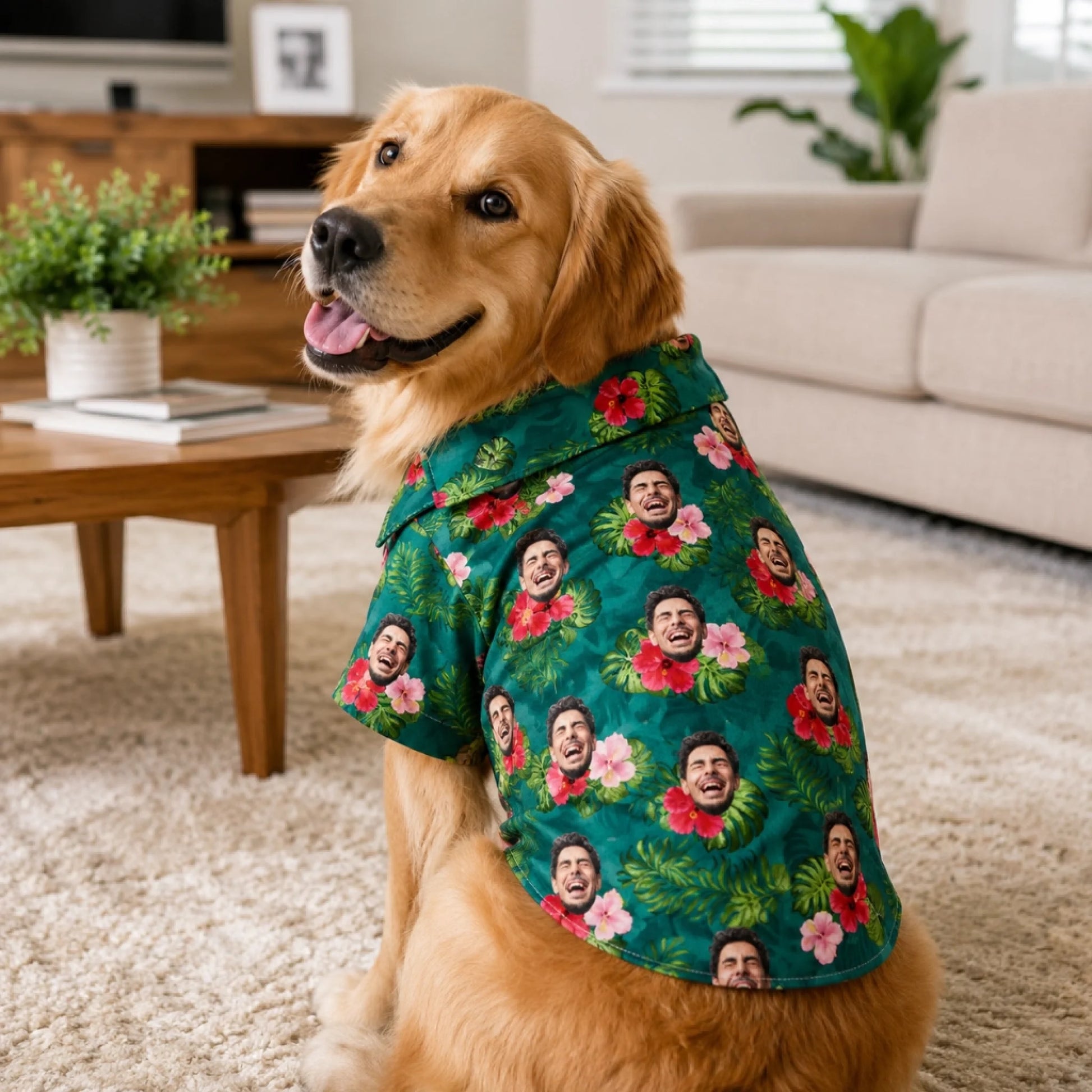 ucg pet shirt