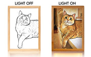 Custom Light Frame With Hidden Photo