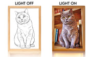 Custom Light Frame With Hidden Photo
