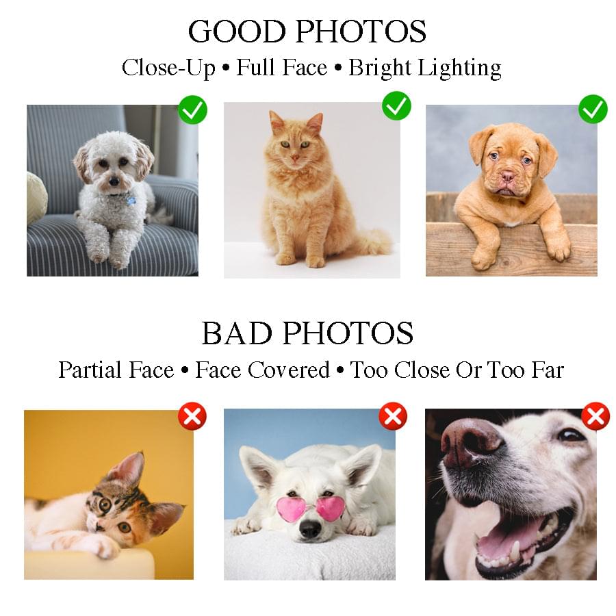 2 Bad Paws Custom Pet Portrait Canvas