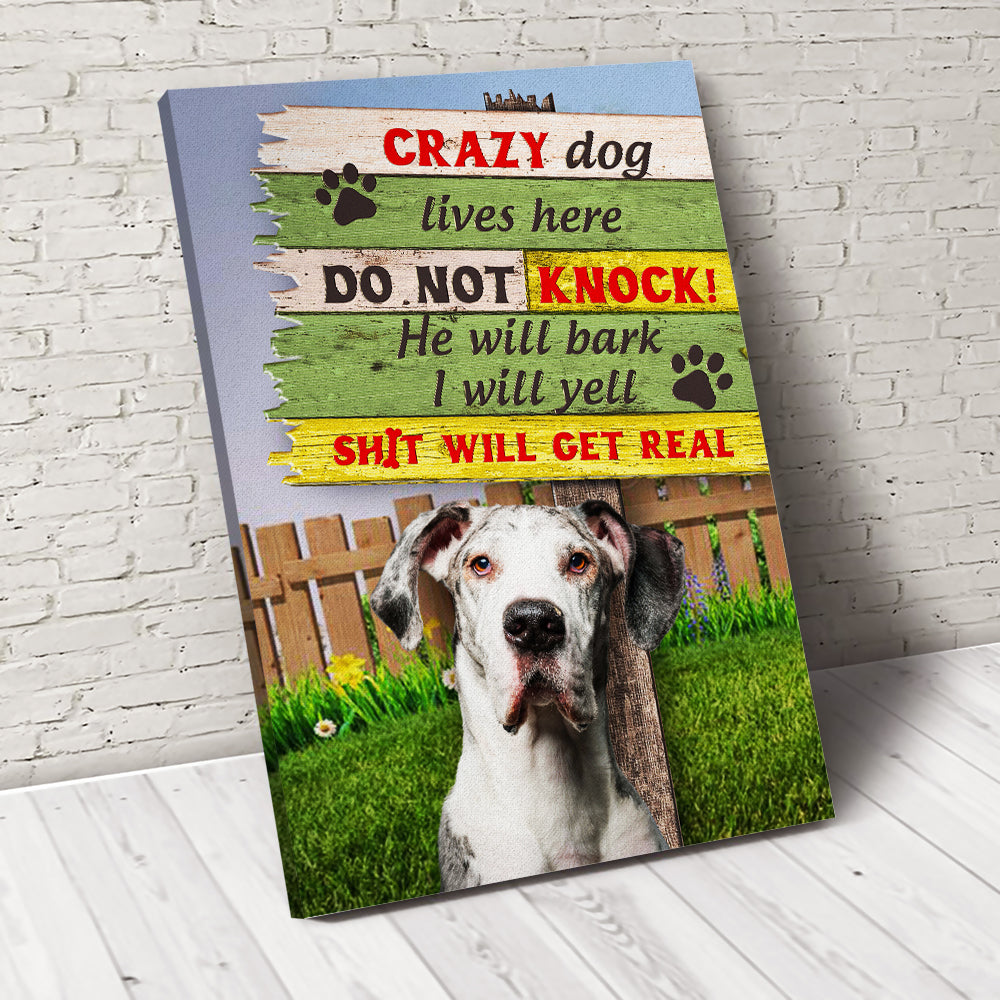 Crazy Dog Custom Pet Portrait - Noble Pawtrait