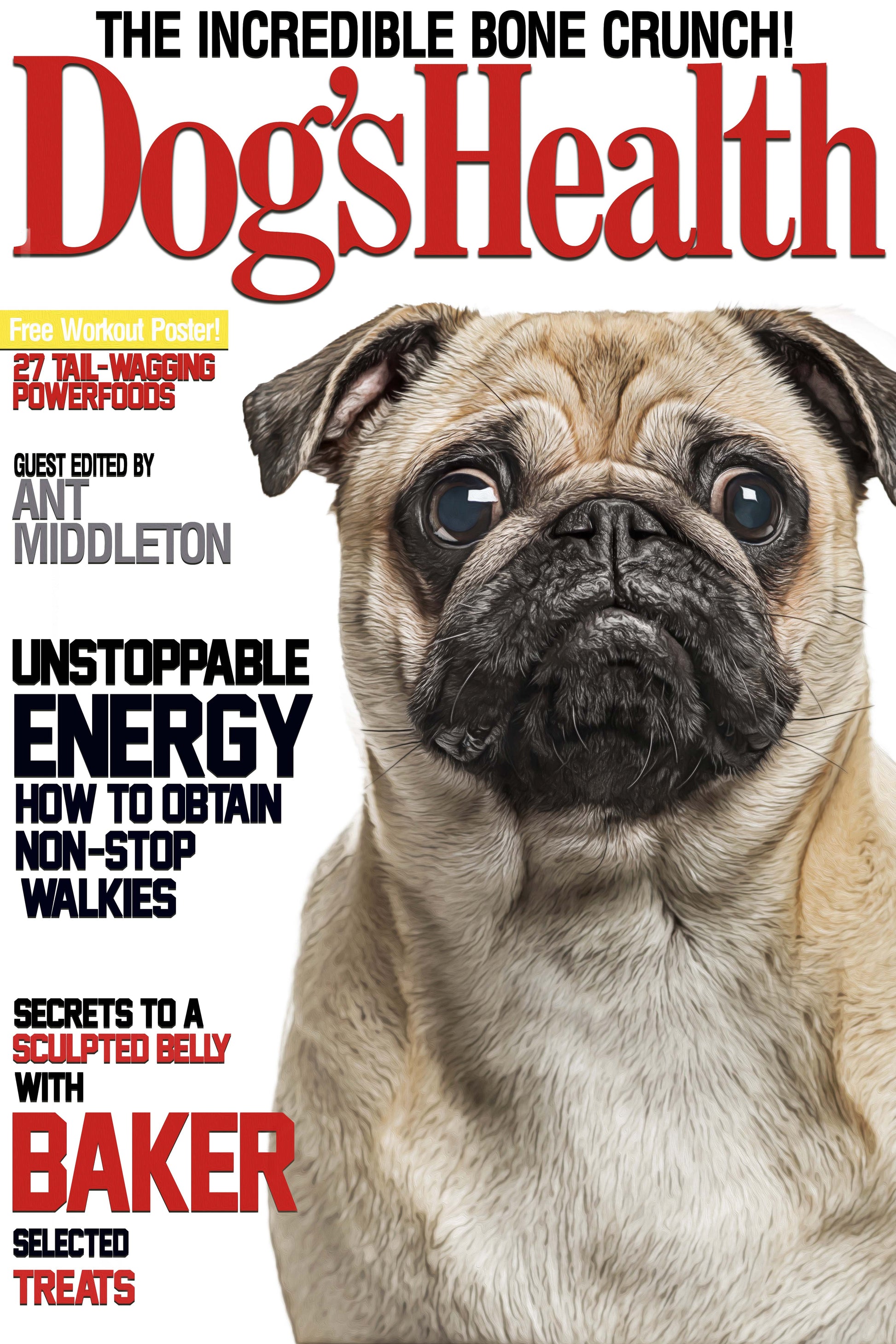 The Dog's Health Custom Pet Portrait Digital Download - Noble Pawtrait