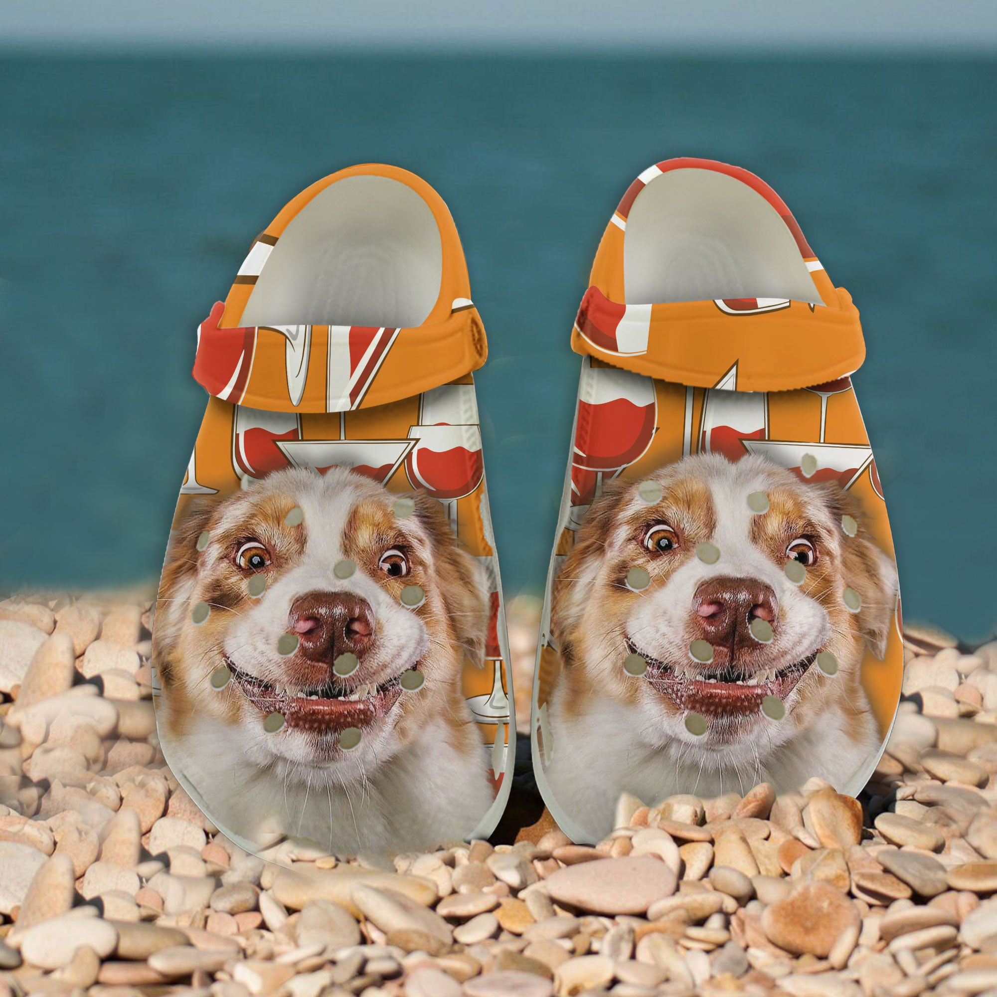 Custom orders pet shoes