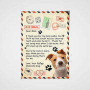 Paw Mail For Mom Custom Pet Portrait - Noble Pawtrait