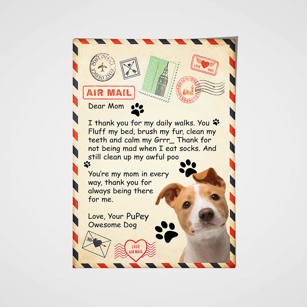 Paw Mail For Mom Custom Pet Portrait Poster - Noble Pawtrait