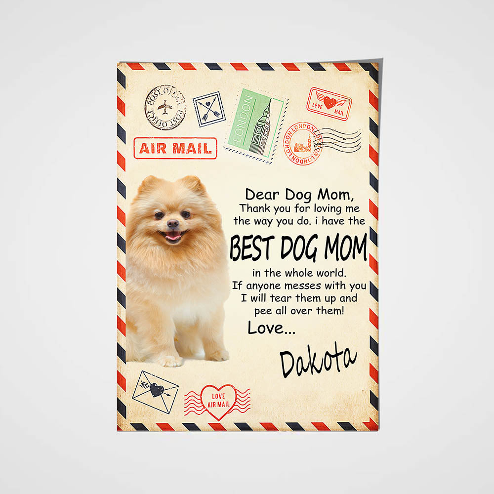Paw Mail Mom Gift Custom Pet Portrait Poster - Noble Pawtrait