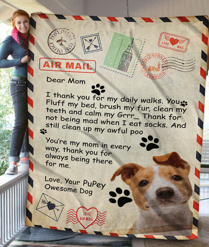 Paw Mail For Mom Custom Pet Fleece Blanket - Noble Pawtrait