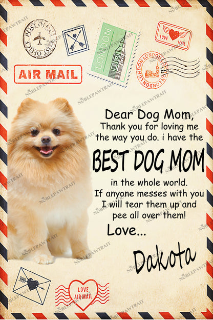 Paw Mail Mom Gift Custom Pet Portrait - Noble Pawtrait