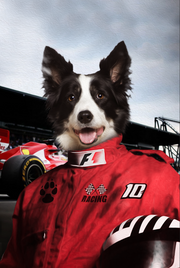 The Racer Custom Canvas Pet Portrait - Noble Pawtrait