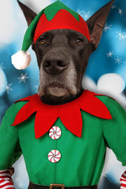 The Male Elf Custom Pet Portrait - Noble Pawtrait