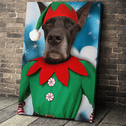 The Male Elf Custom Pet Portrait Canvas - Noble Pawtrait
