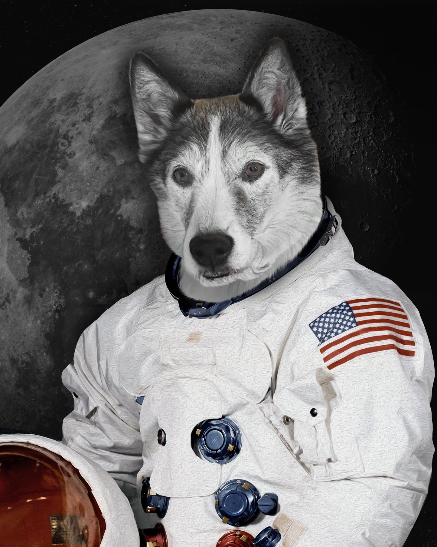 The Moon Walker Custom Pet Portrait Poster - Noble Pawtrait