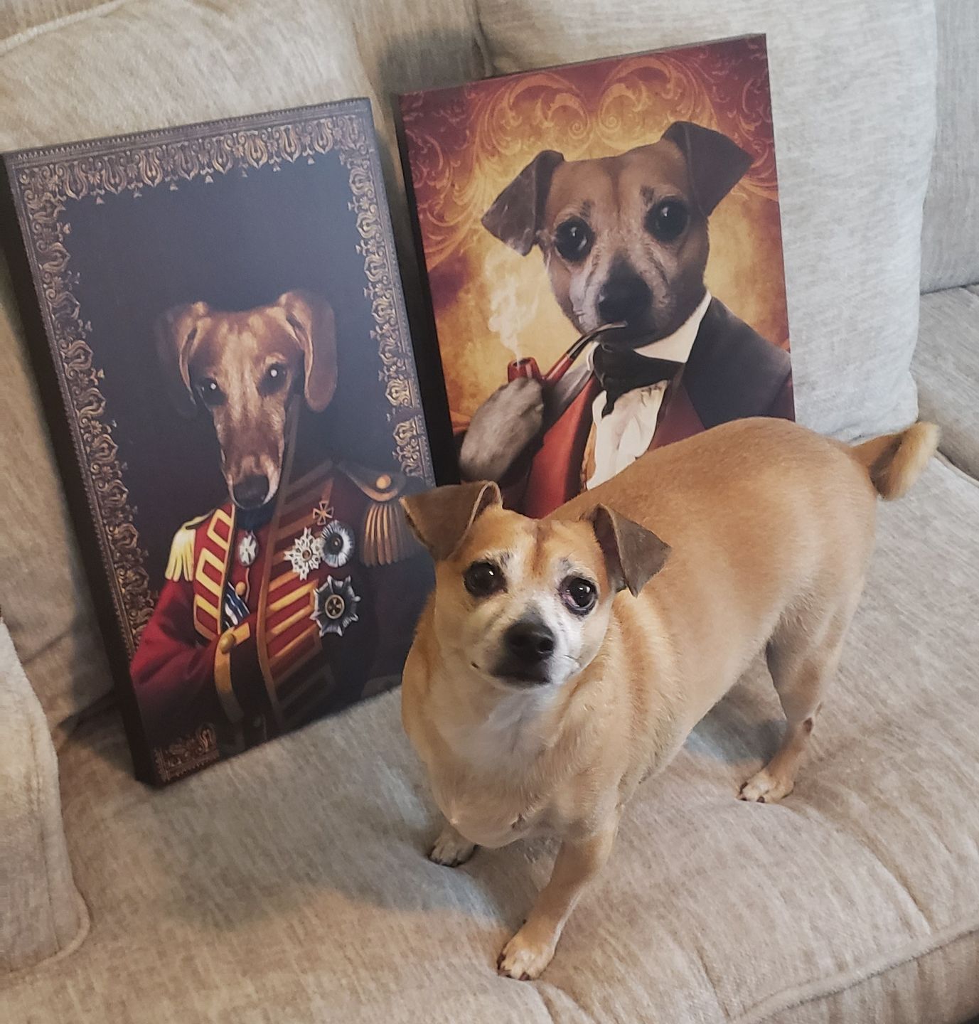 The Pilus Prior Custom Pet Portrait Canvas - Noble Pawtrait