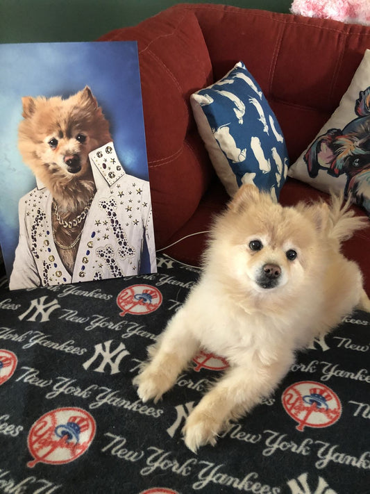Philadelphia Eagles Fan Custom Canvas Pet Portrait – Noble Pawtrait