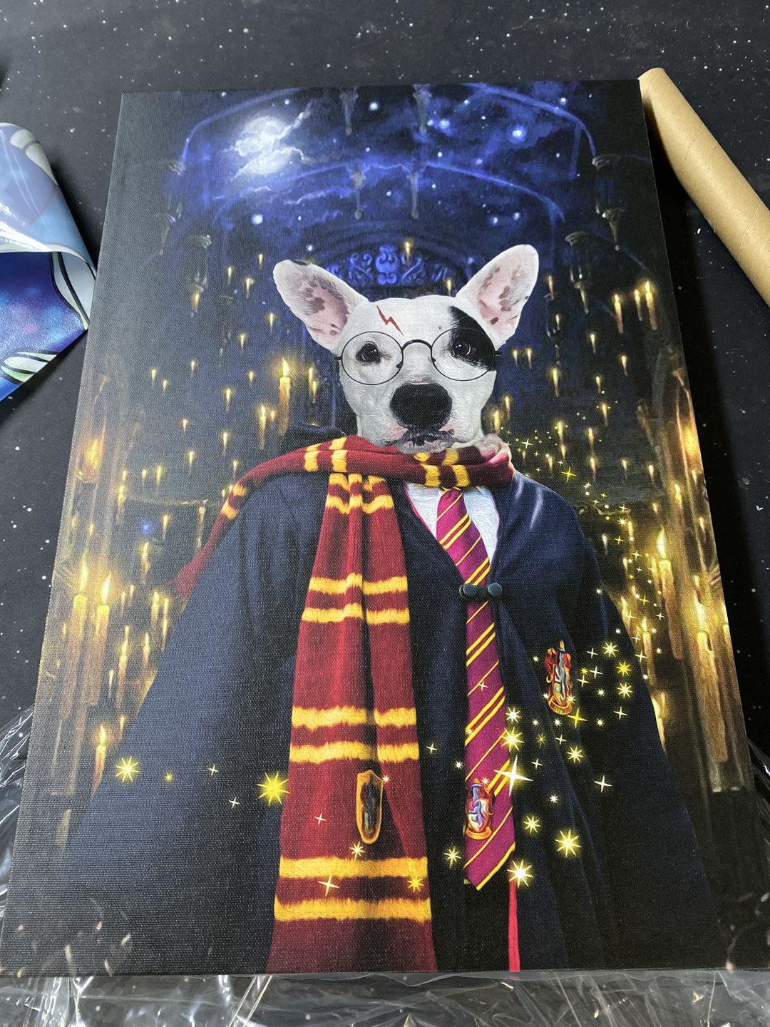 The Wizard Custom Pet Portrait Canvas – Noble Pawtrait