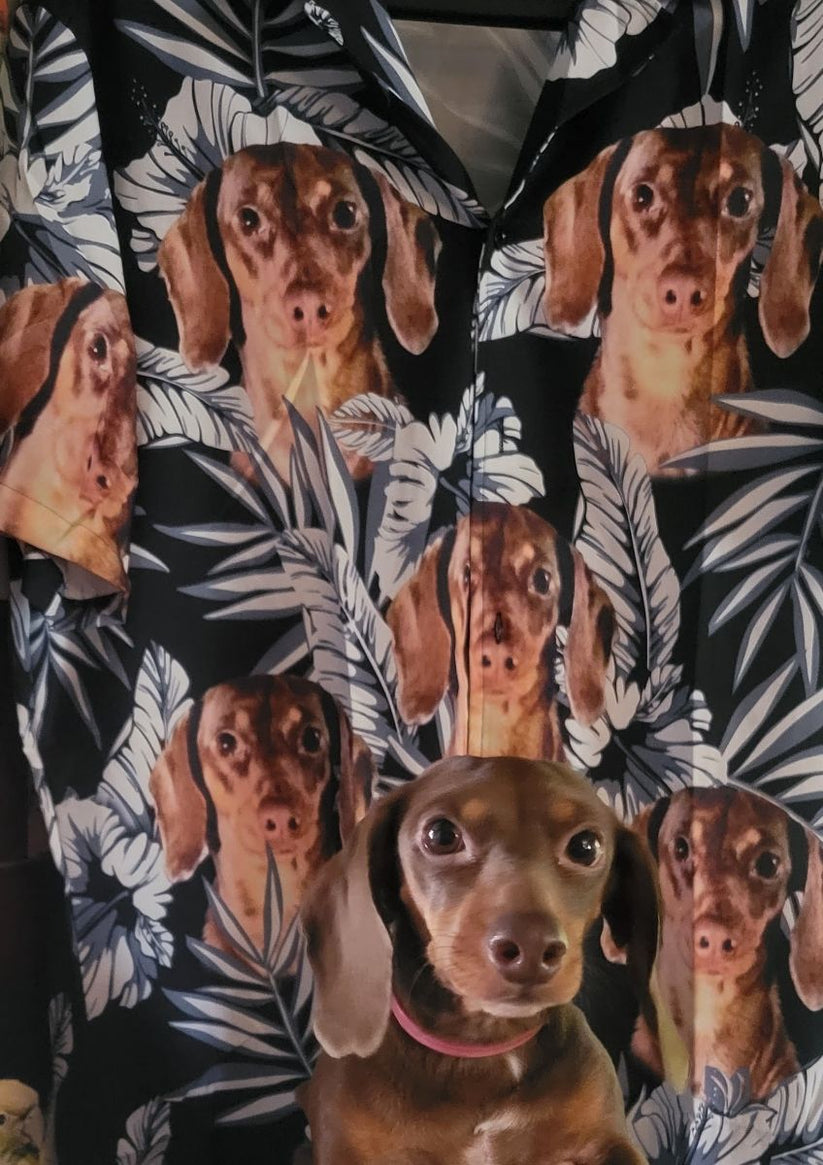 Custom Hawaiian Shirt For Cat Lovers | Personalized Kitty Lovers Gift