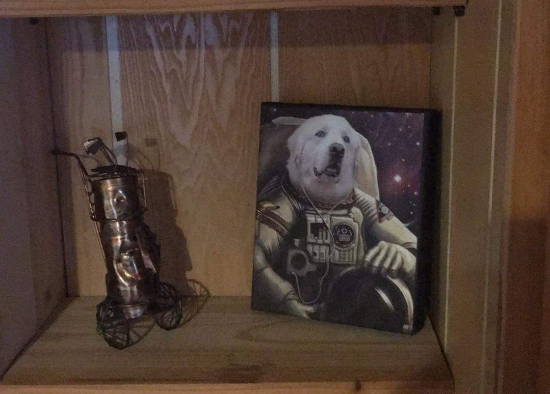 The Astronaut Custom Pet Portrait Canvas - Noble Pawtrait