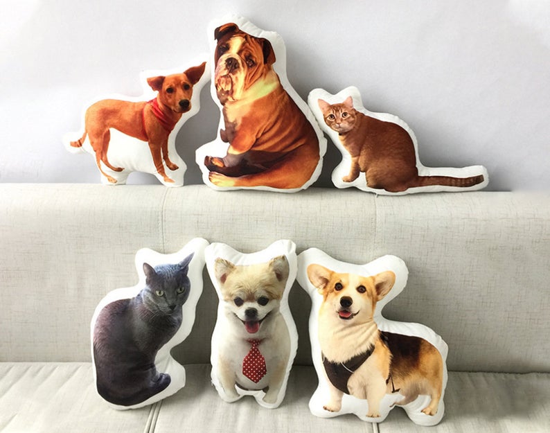 Get your pet on a outlet pillow